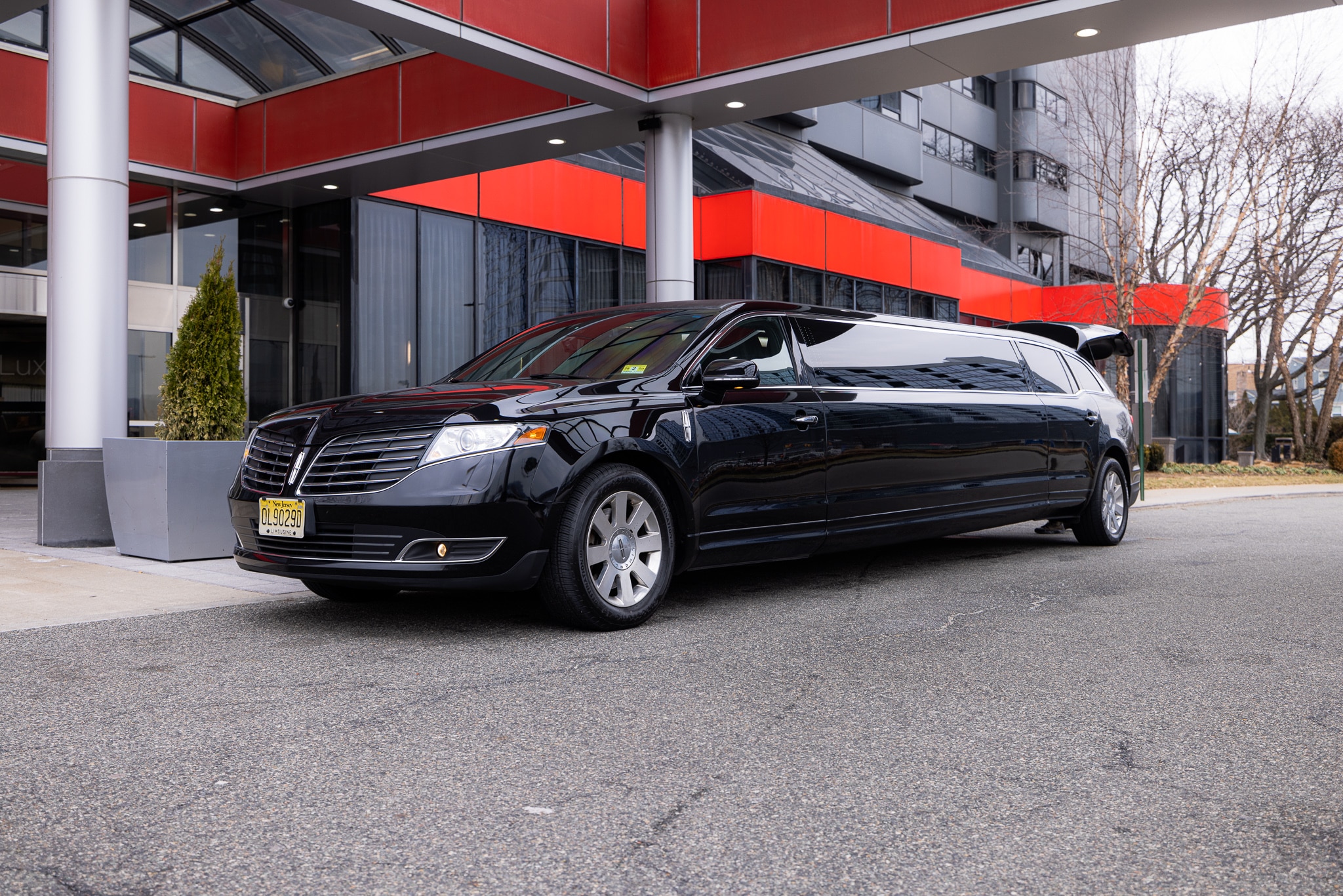 Stretch Limousine preview